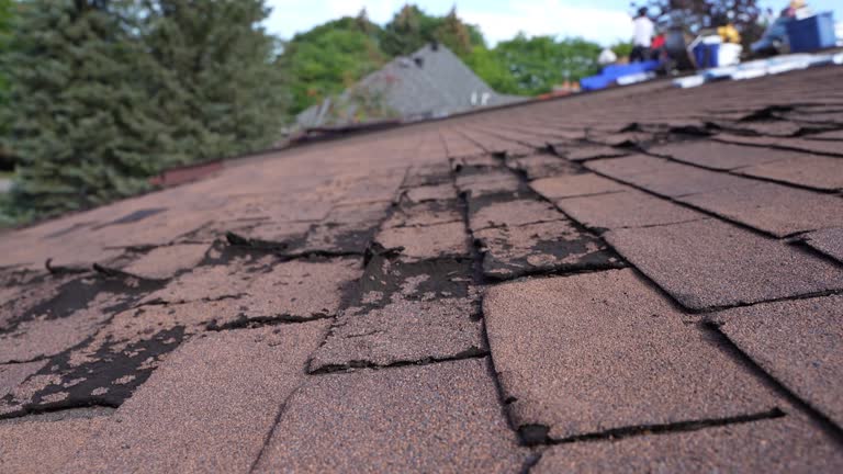 Best Roof Leak Repair  in West Whittier Los Nietos, CA